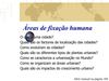 Tema C - As Cidades e a Urbanização Mundial