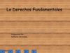 los derechos fundamentales 
