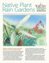 Wisconsin Native Plant Rain Gardens