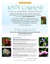 NH: Rain Garden Landscape Design