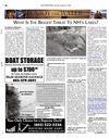 NH: Rain Gardens Protect Our Lakes