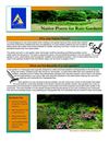 VA: Native Plants for Rain Gardens - Alliance for the Chesapeake Bay