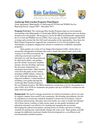 AK: Anchorage: Why Rain Gardens are Important