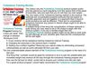 Turbulence Training