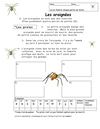 les araignées lecture CP