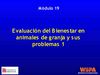 Evaluación del Bienestar animal animales de granja