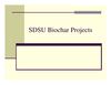 SDSU biochar projects Presentation