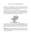 Gives You Free Service And Site Designing Strategy