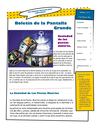 revista
