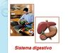 Sistema digestivo