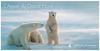 Carte Postale Grand Nord