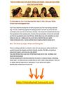  how to make your hair grow faster and longer - how can you make your hair grow faster