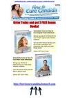  candida albicans diet - candida symptoms in women - candida diet food list