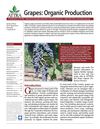 Grapes: Organic Production