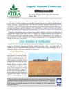 Organic Soybean Production