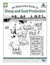 An Illustrated Guide to Sheep and Goat Production (Hmong language version)