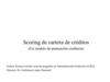MATRIZ DE PUNTUACION SCORING