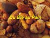Pain