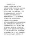 los reptiles