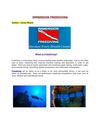What is Freediving?