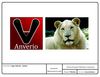 animal
