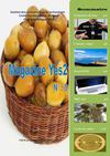 Magazine yes 2 n°3