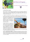 Los Caminos del vino en Uruguay