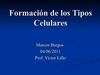 Formación de los Tipos Celulares