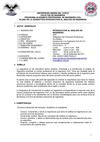 SILABO DE INTRODUCCION AL ANALISIS EN INGENIERIA CIVIL