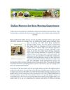Dallas Movers For Best Moving Experience