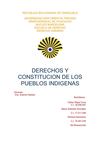 Derechos y Constitucion de los Pueblos Indigenas