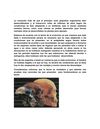 Evolucion
