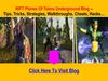 Rift Planes Of Telara MM Guide - Access Free Secret Tips, Tricks, Strategies, Walkthroughs, Cheats, Hacks, Guardian...