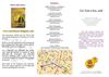 Triptyque de l'asbl Un Toit à Soi