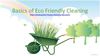 Eco Friendly Cleaning for Our Environment