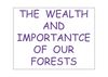 Scottish - Navarra forest uses