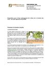 Corniche des forts : contribution de David Bismuth
