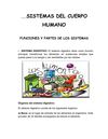 SISTEMAS DEL CUERPO HUMANO