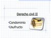 derecho civil condomio y usufructo
