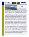 DFW HDI Newsletter June 2011