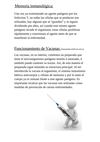 Memoria inmunológicay vacunas