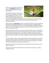 What Is an Online Poker Assistant
