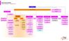 Organigramme