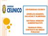 Contrato de obra publica 