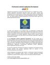 Professional Android Application Development