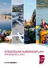 Strategisk Næringsplan for Bodø Kommune 2011 - 2015