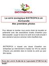 serre zoologique biotropica mes premières photos le déboisement