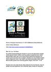 Brazil vs Paraguay Copa America 17.7.2011 SelMcKenzie Selzer-McKenzie