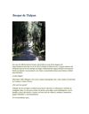 Bosque de Tlalpan