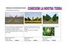 observacions definitives